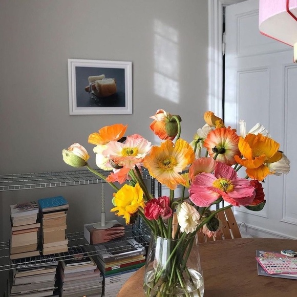 Meet your Posher, Josh - Picture 16 of 16